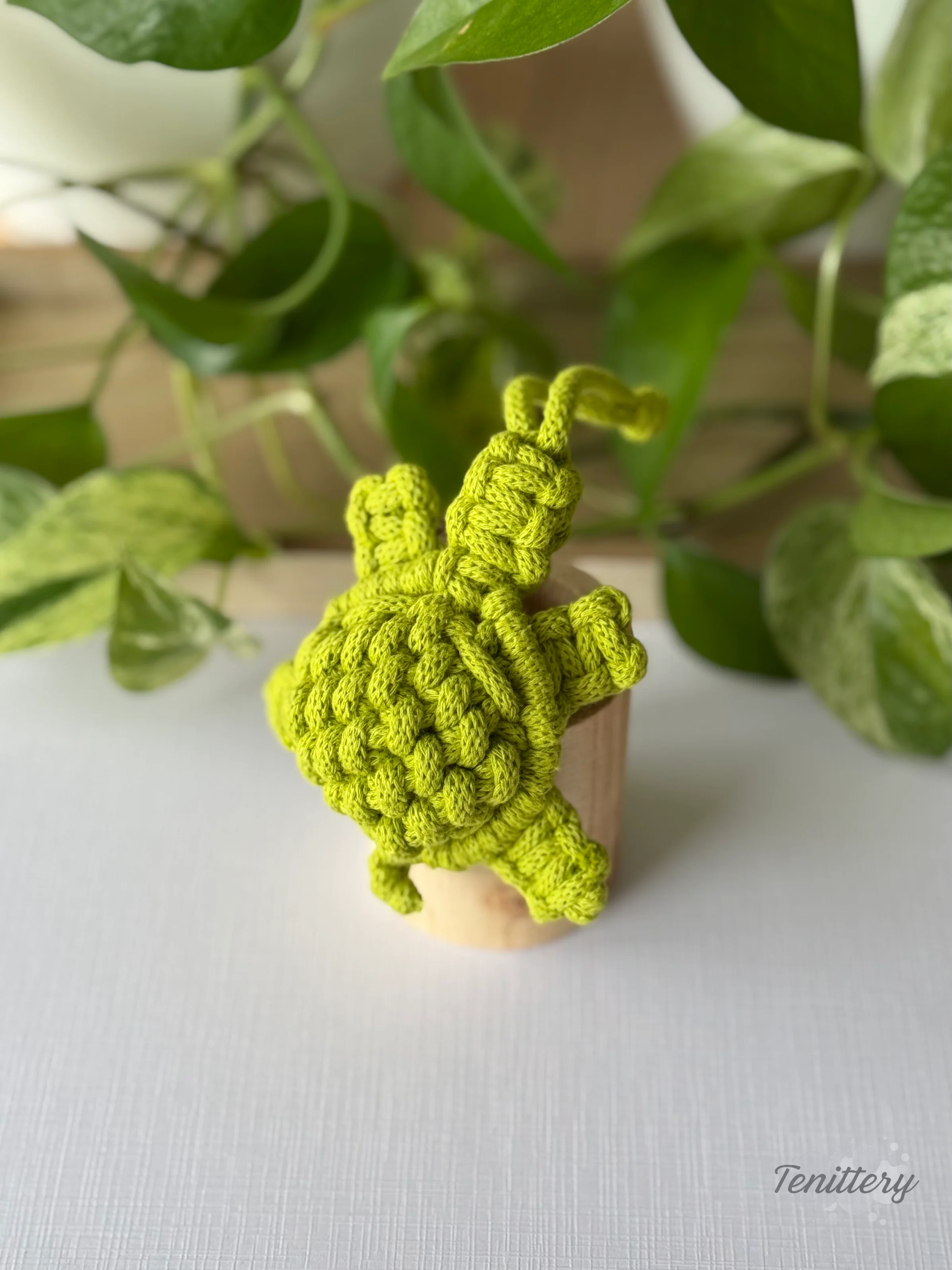 Macramé dekorace na zeď Želvička ve světle zelené barvě z boku.