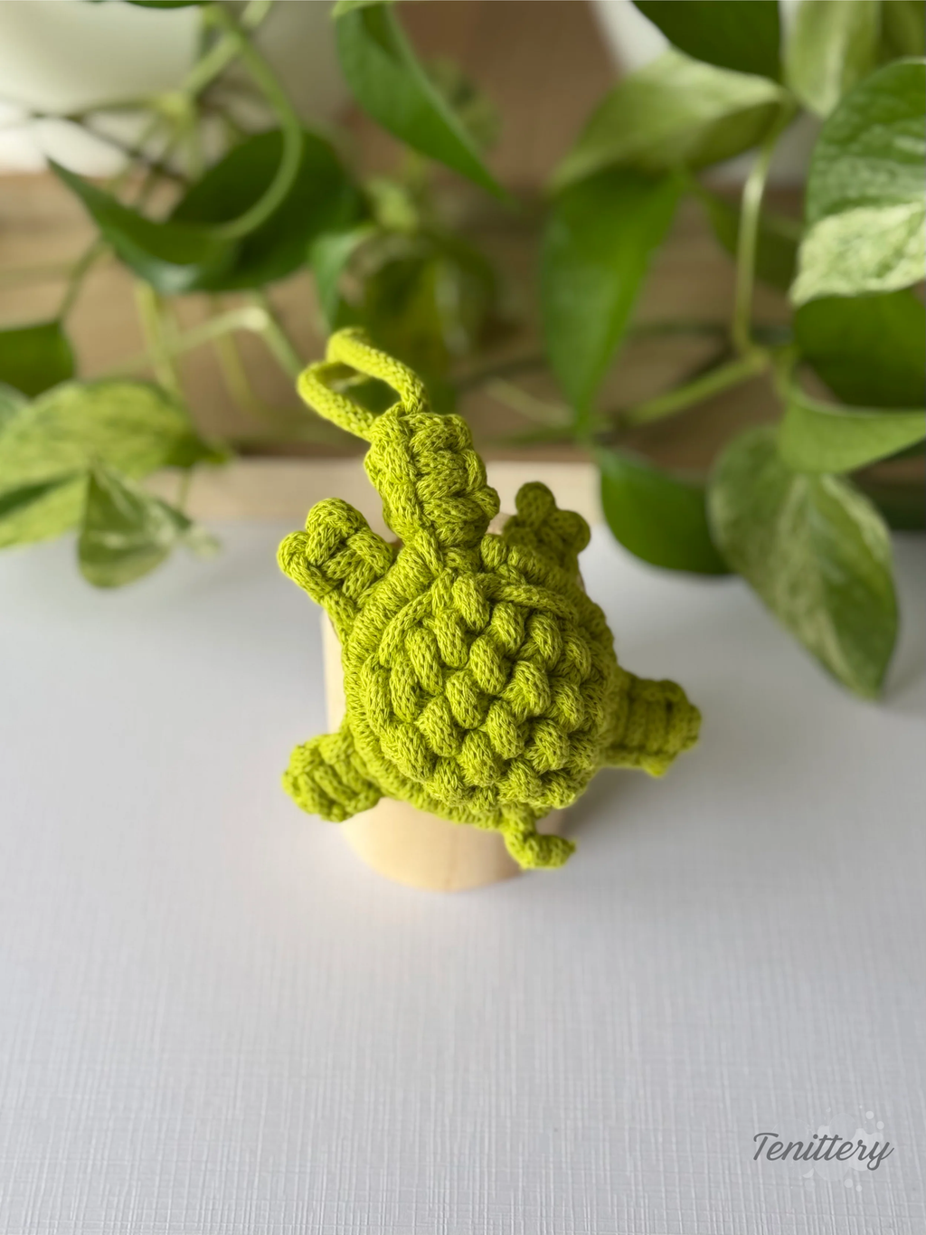 Macramé dekorace na zeď Želvička ve světle zelené barvě.